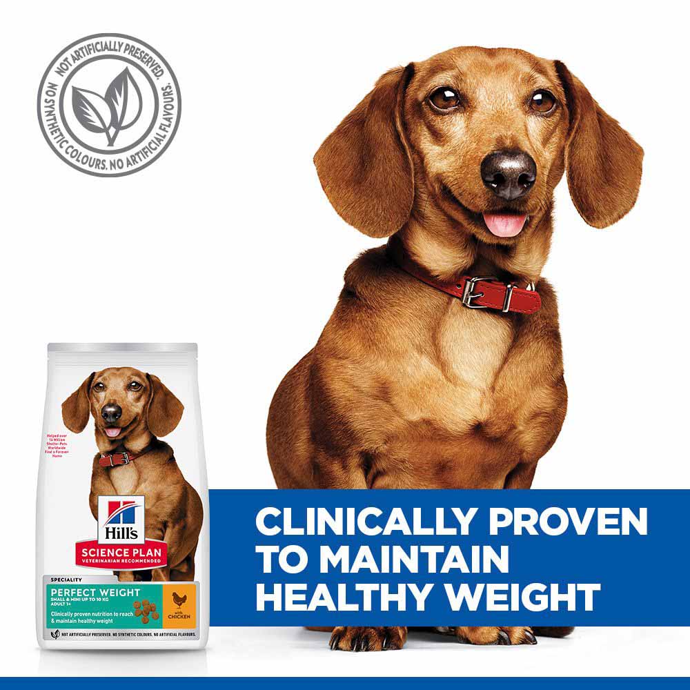 Hills Science Plan Perfect Weight Small & Mini Adult Dry Dog Food - Chicken