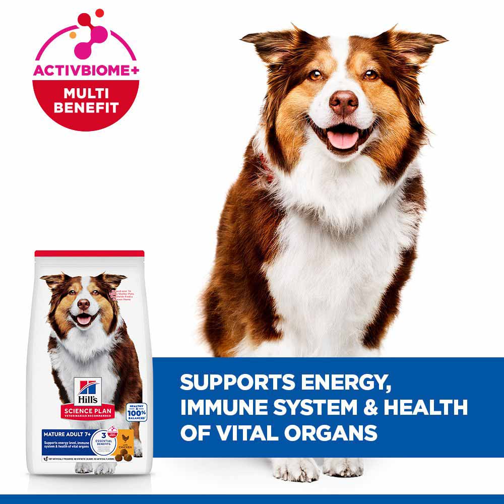 Hills Science Plan Medium Breed Mature 7 Years + Dry Dog Food - Chicken