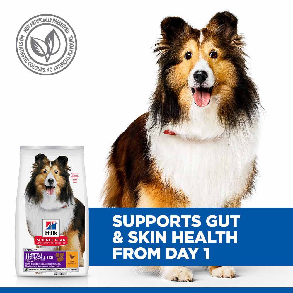 Hills Science Plan Sensitive Stomach & Skin Medium Breed Adult Dry Dog Food - Chicken