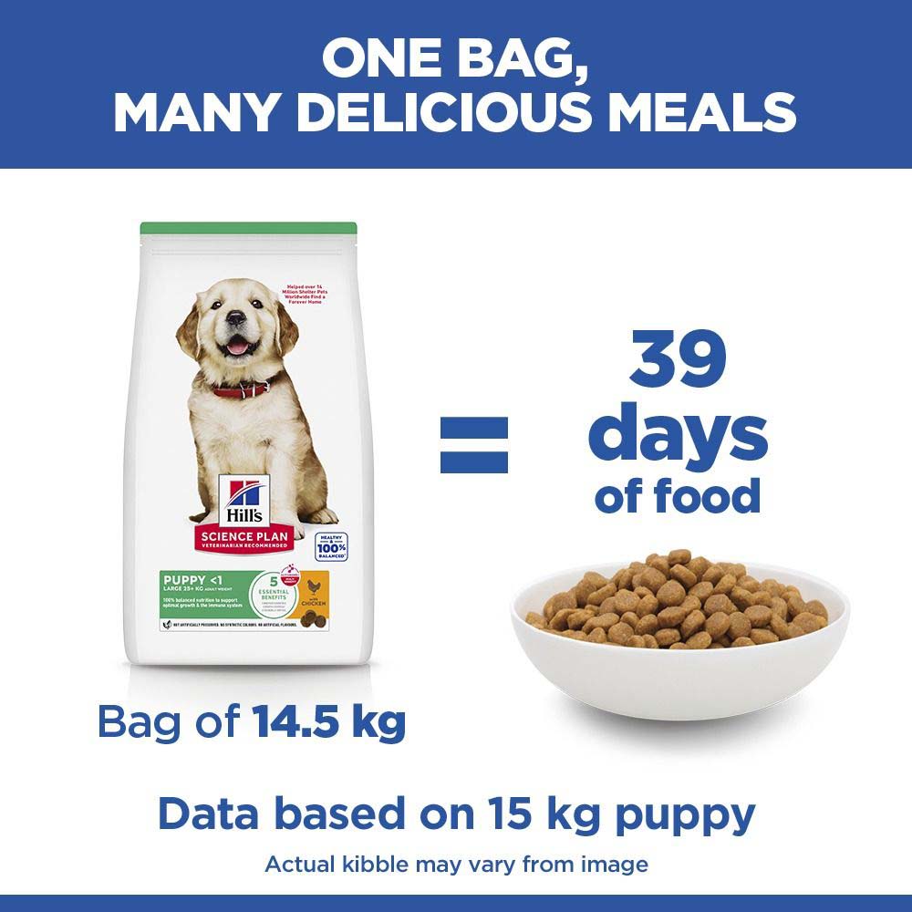 Hills Science Plan Large Breed Puppy Dry Dog Food - Chicken