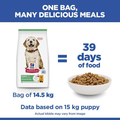 Hills Science Plan Large Breed Puppy Dry Dog Food - Chicken
