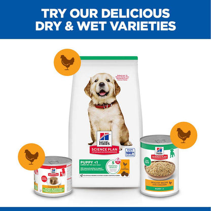 Hills Science Plan Large Breed Puppy Dry Dog Food - Chicken