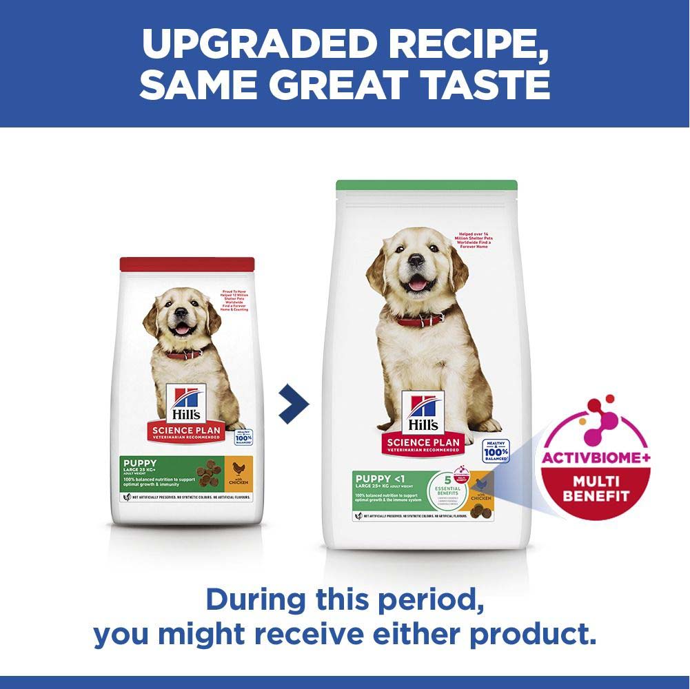 Hills Science Plan Large Breed Puppy Dry Dog Food - Chicken