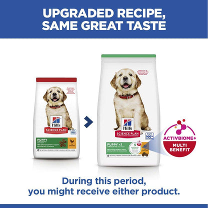 Hills Science Plan Large Breed Puppy Dry Dog Food - Chicken