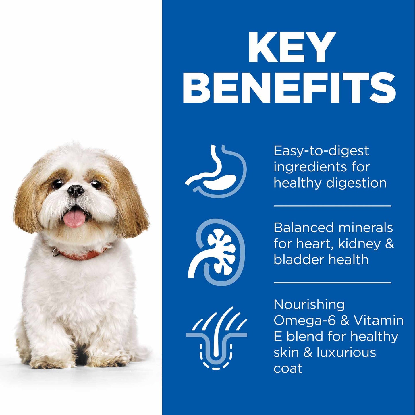 Hills Science Plan Small & Mini Breed Mature Dry Dog Food - Chicken