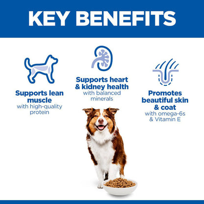 Hills Science Plan Medium Breed Mature 7 Years+ Dry Dog Food - Chicken