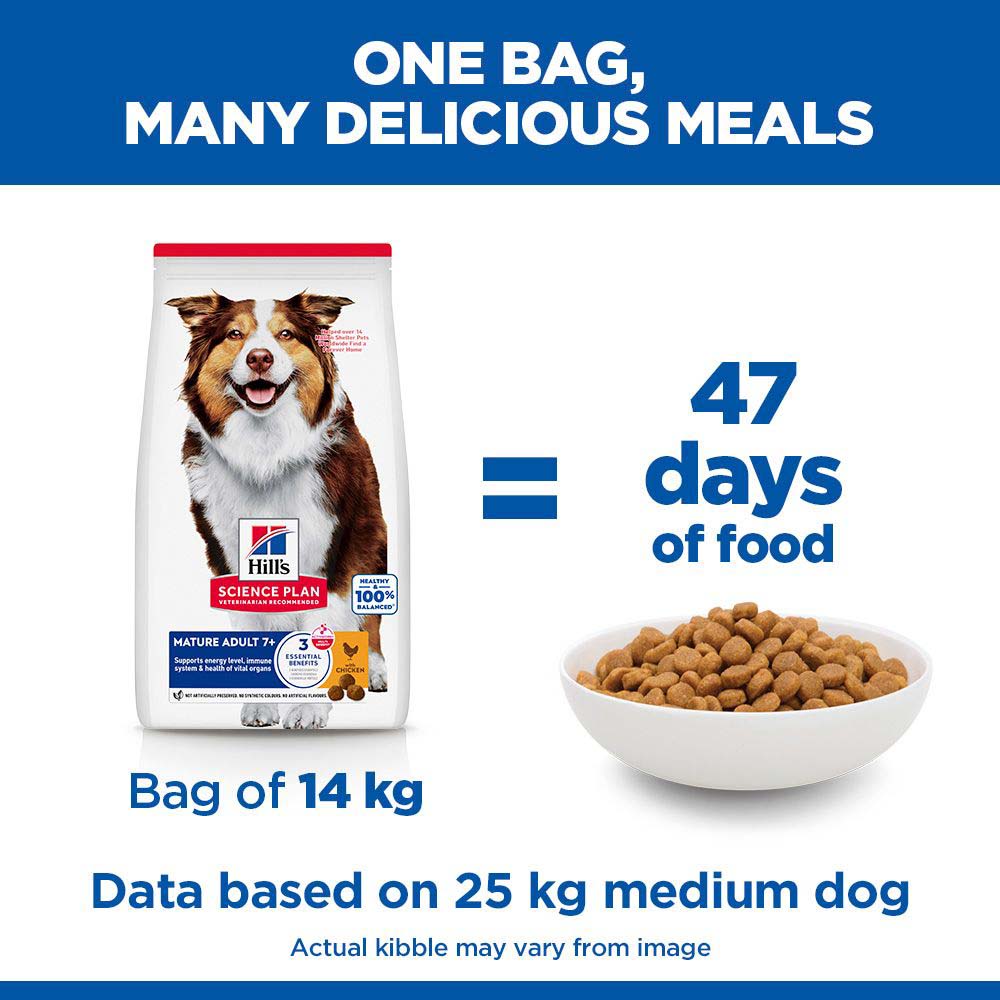 Hills Science Plan Medium Breed Mature 7 Years+ Dry Dog Food - Chicken