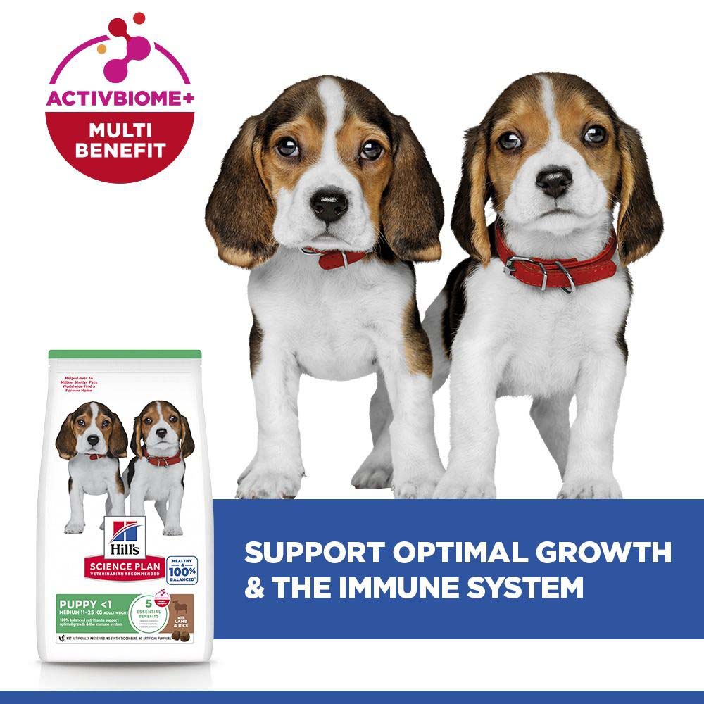 Hills Science Plan Medium Breed Puppy Dry Dog Food - Lamb & Rice