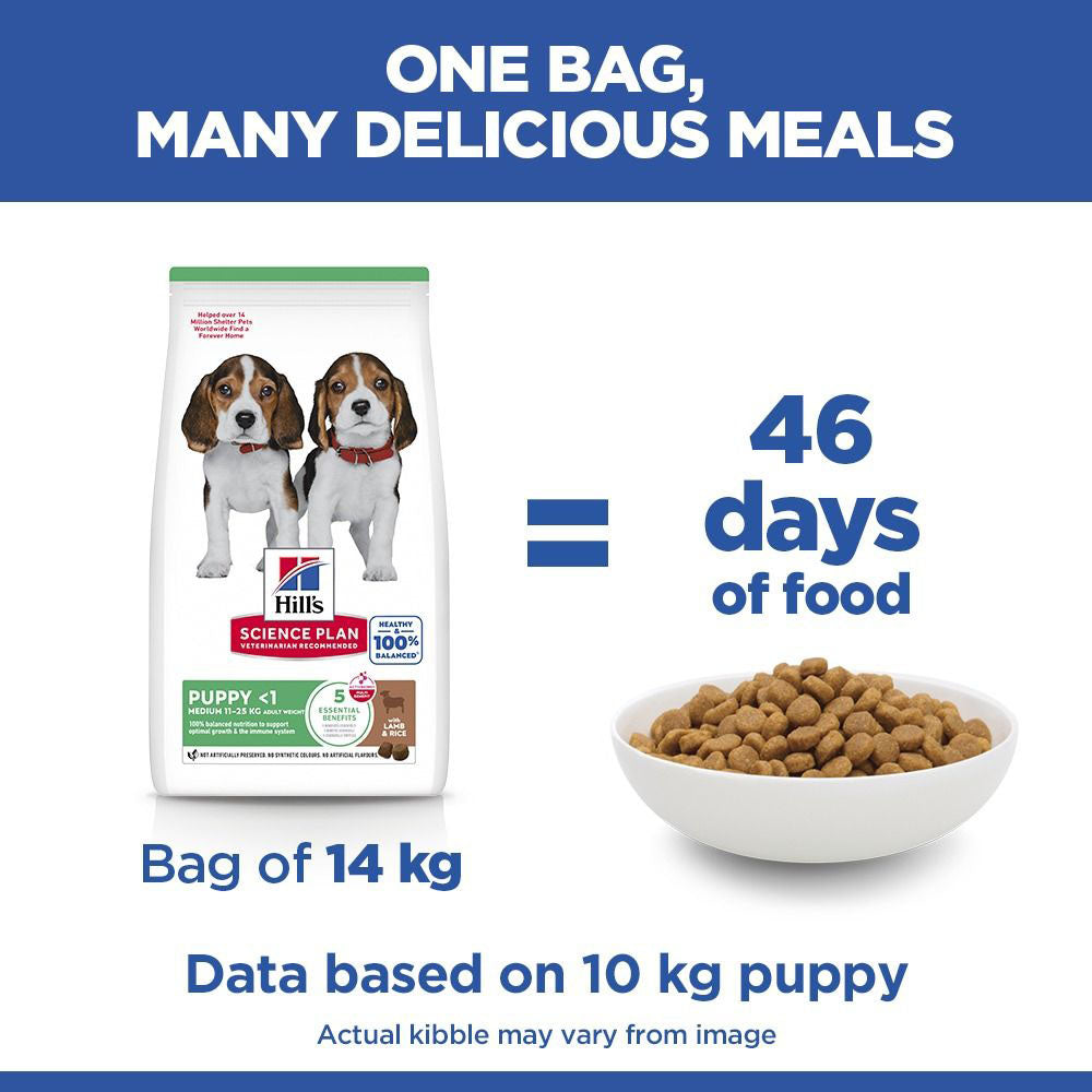 Hills Science Plan Medium Breed Puppy Dry Dog Food - Lamb & Rice