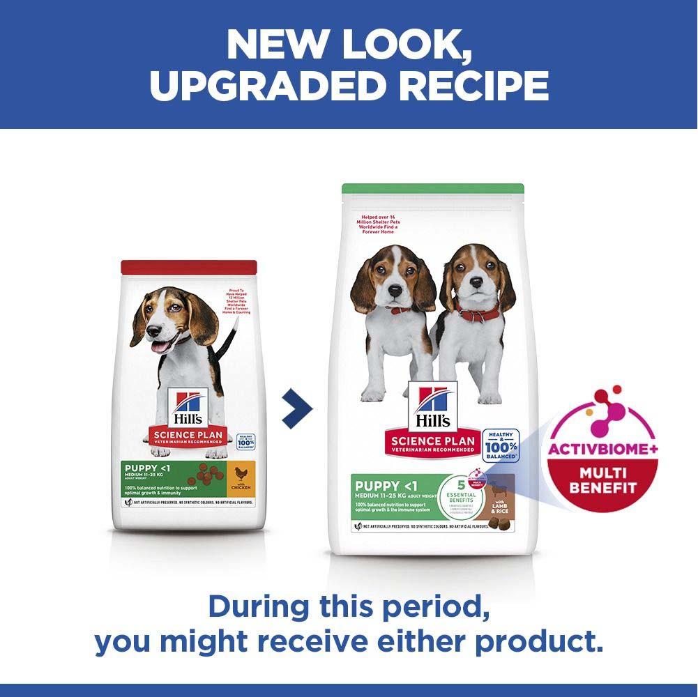 Hills Science Plan Medium Breed Puppy Dry Dog Food - Lamb & Rice