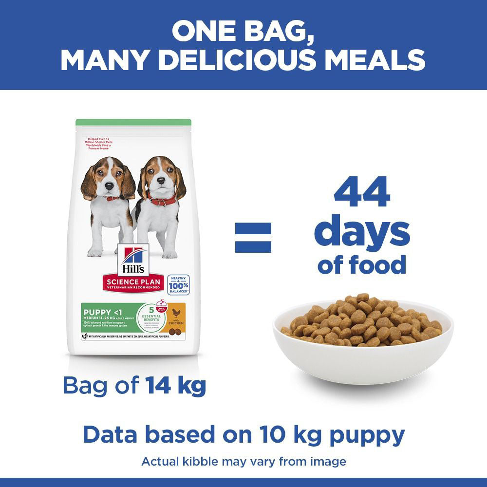 Hills Science Plan Medium Breed Puppy Dry Dog Food - Chicken