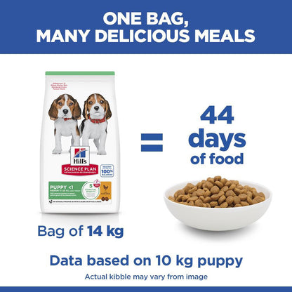 Hills Science Plan Medium Breed Puppy Dry Dog Food - Chicken