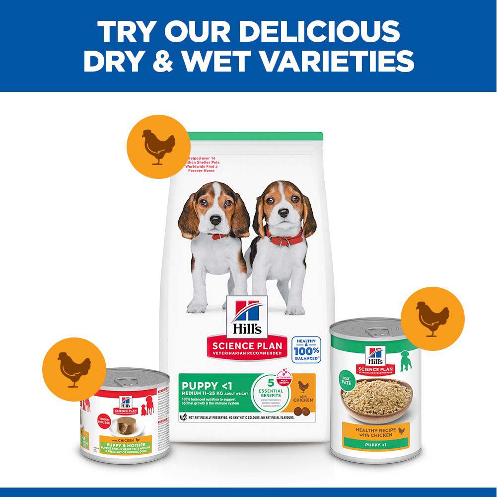 Hills Science Plan Medium Breed Puppy Dry Dog Food - Chicken