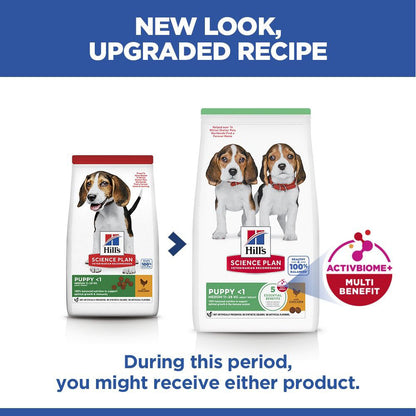 Hills Science Plan Medium Breed Puppy Dry Dog Food - Chicken