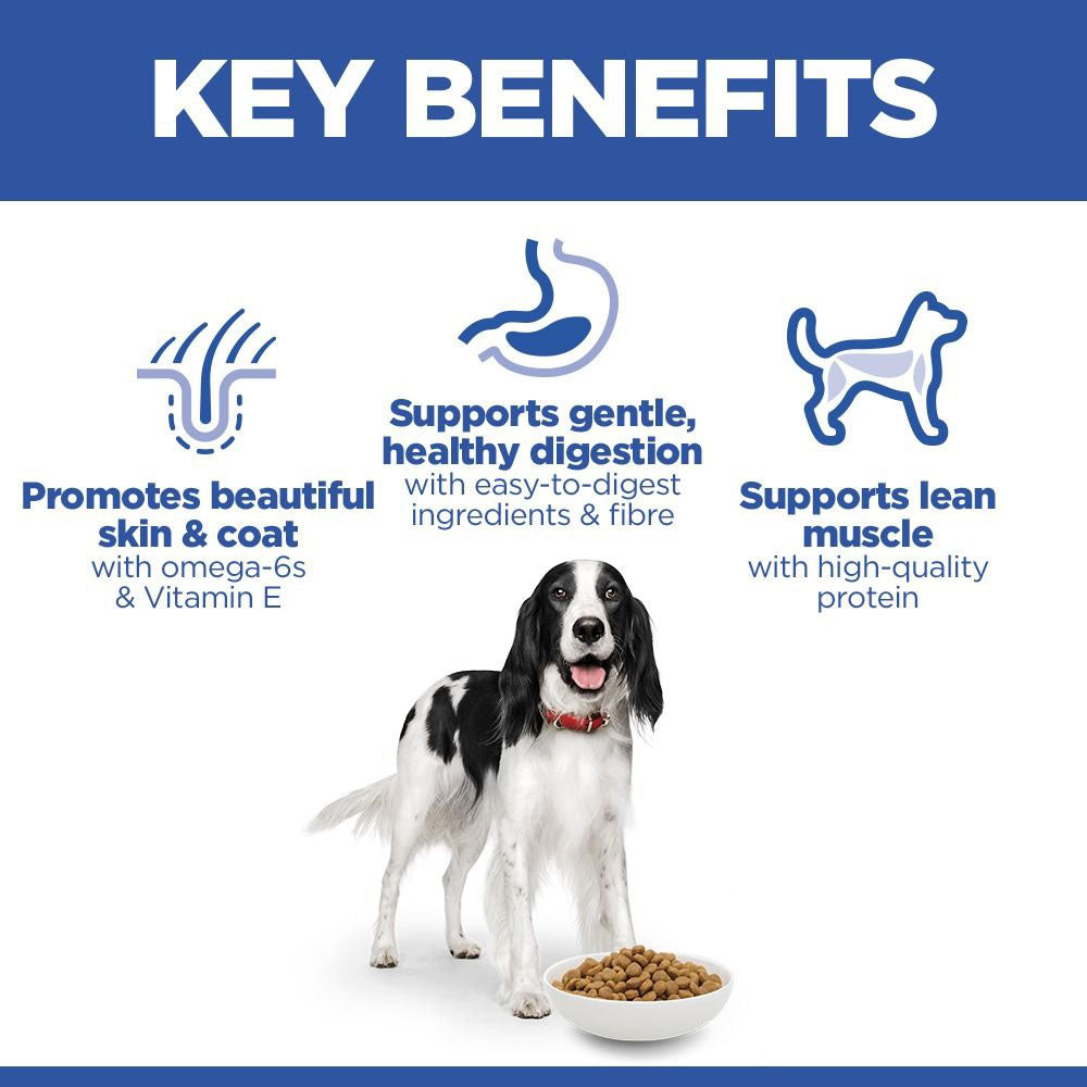 Hills Science Plan Medium Breed Adult Dry Dog Food - Chicken