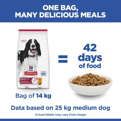 Hills Science Plan Medium Breed Adult Dry Dog Food - Chicken