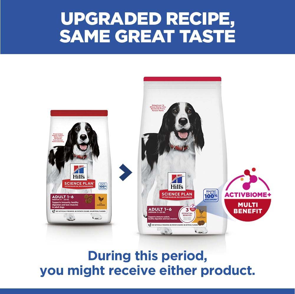 Hills Science Plan Medium Breed Adult Dry Dog Food - Chicken