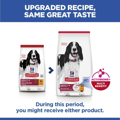 Hills Science Plan Medium Breed Adult Dry Dog Food - Chicken