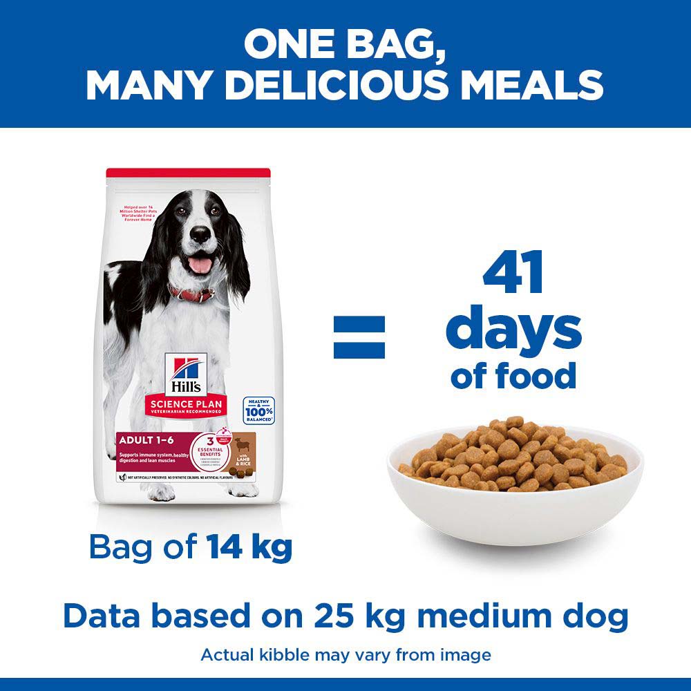 Hills Science Plan Medium Breed Adult Dry Dog Food - Lamb & Rice