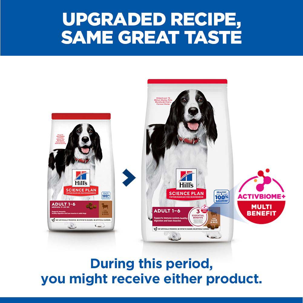 Hills Science Plan Medium Breed Adult Dry Dog Food - Lamb & Rice