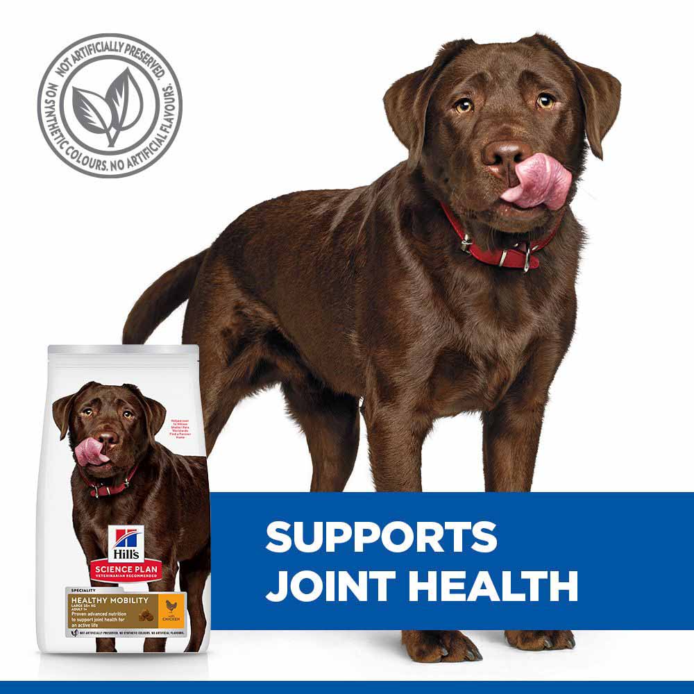 Hills Science Plan Healthy Mobility Large Breed Adult Dry Dog Food - Chicken