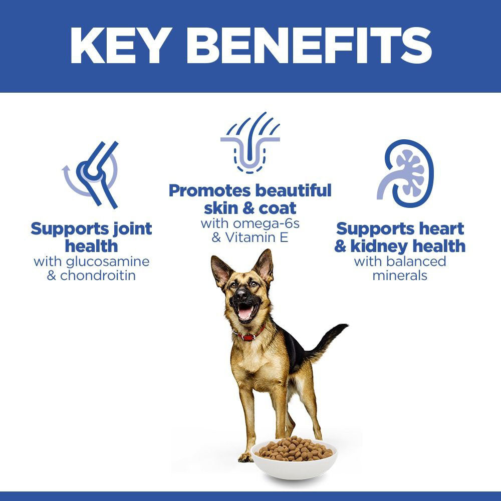 Hills Science Plan Large Breed Mature Dry Dog Food - Chicken