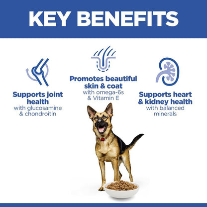 Hills Science Plan Large Breed Mature Dry Dog Food - Chicken