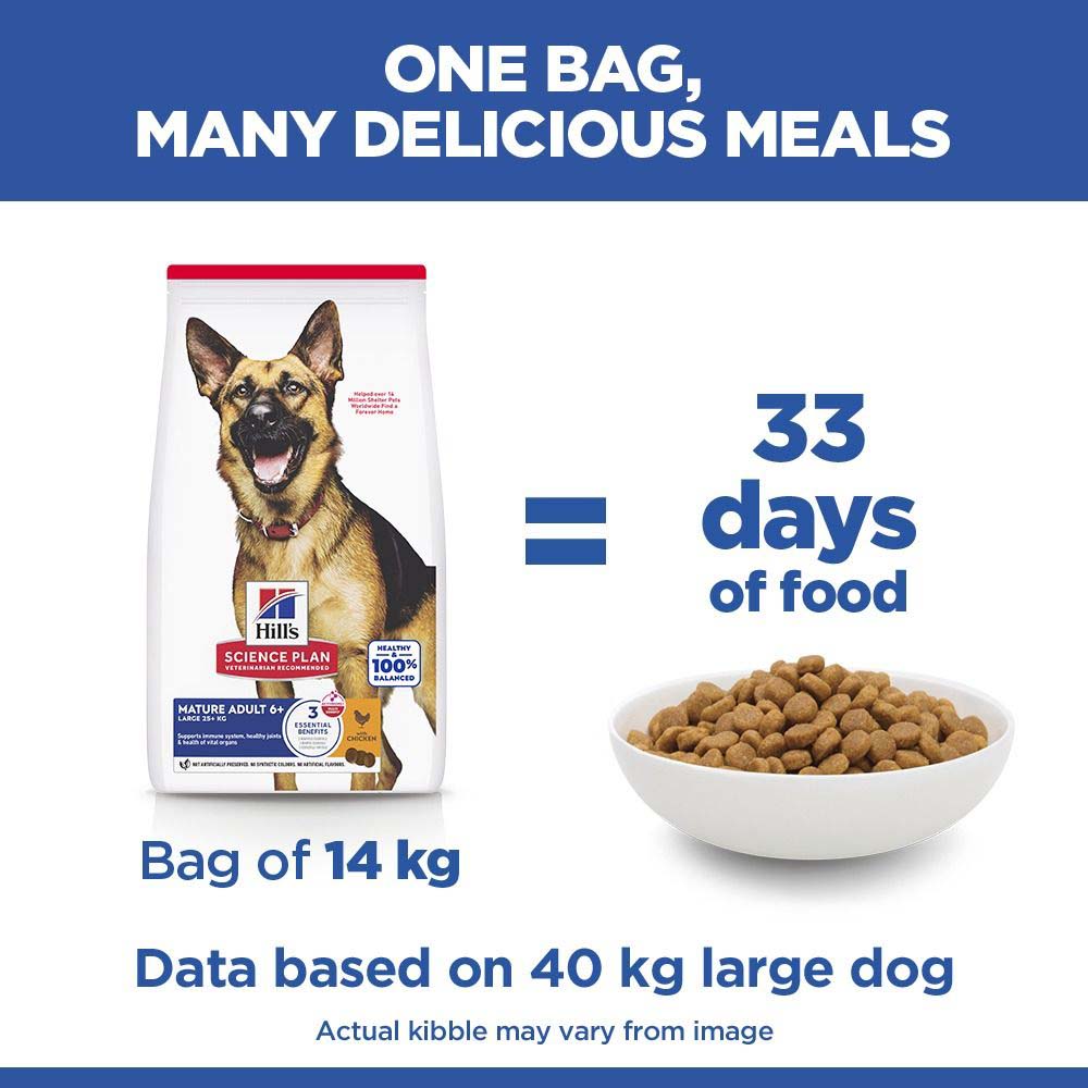 Hills Science Plan Large Breed Mature Dry Dog Food - Chicken