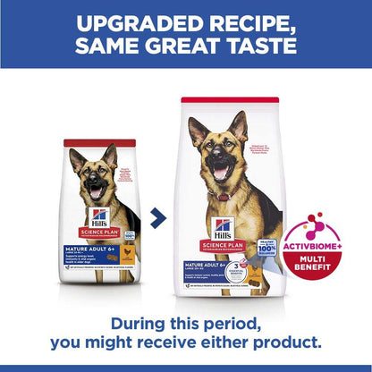 Hills Science Plan Large Breed Mature Dry Dog Food - Chicken