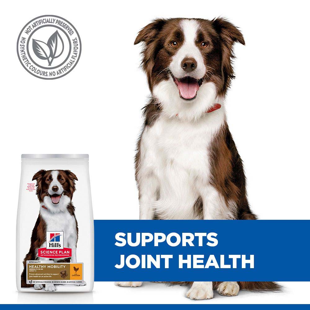 Hills Science Plan Healthy Mobility Medium Breed Adult Dry Dog Food - Chicken