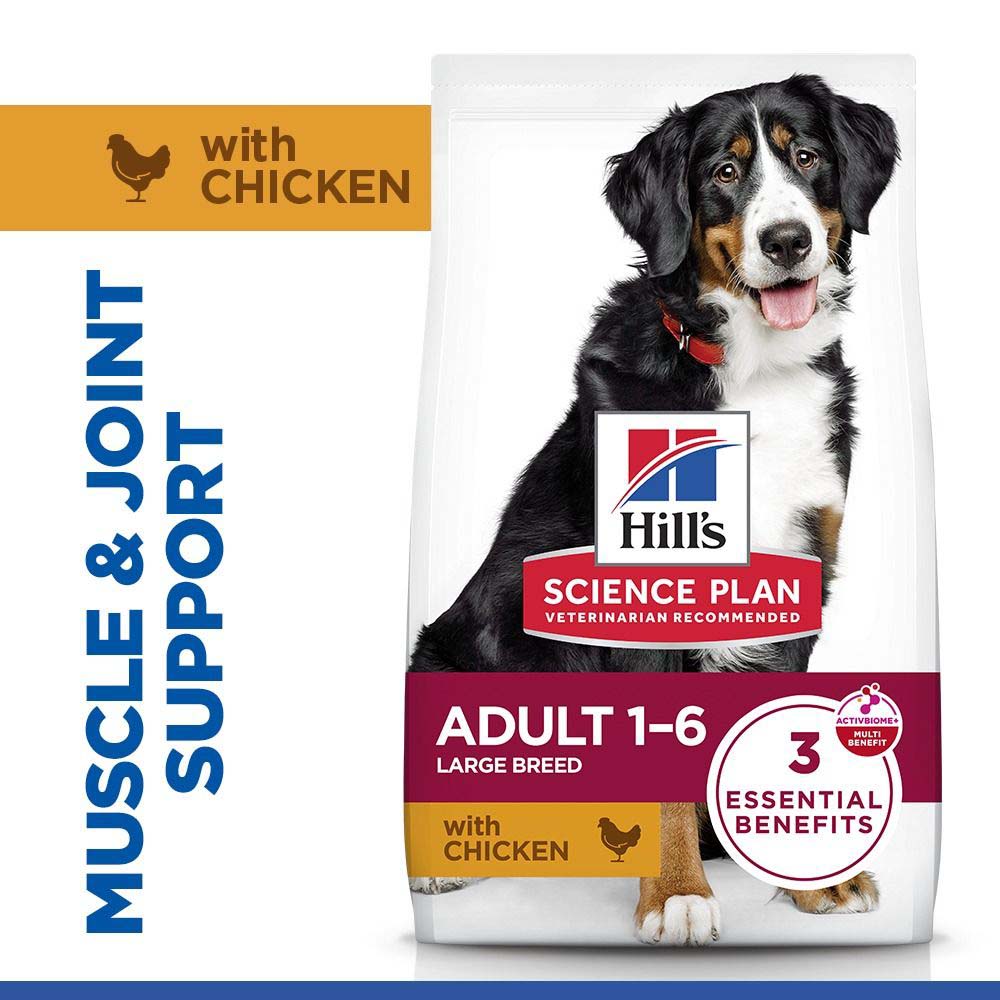 Hills Science Plan Large Breed Adult Dry Dog Food - Chicken