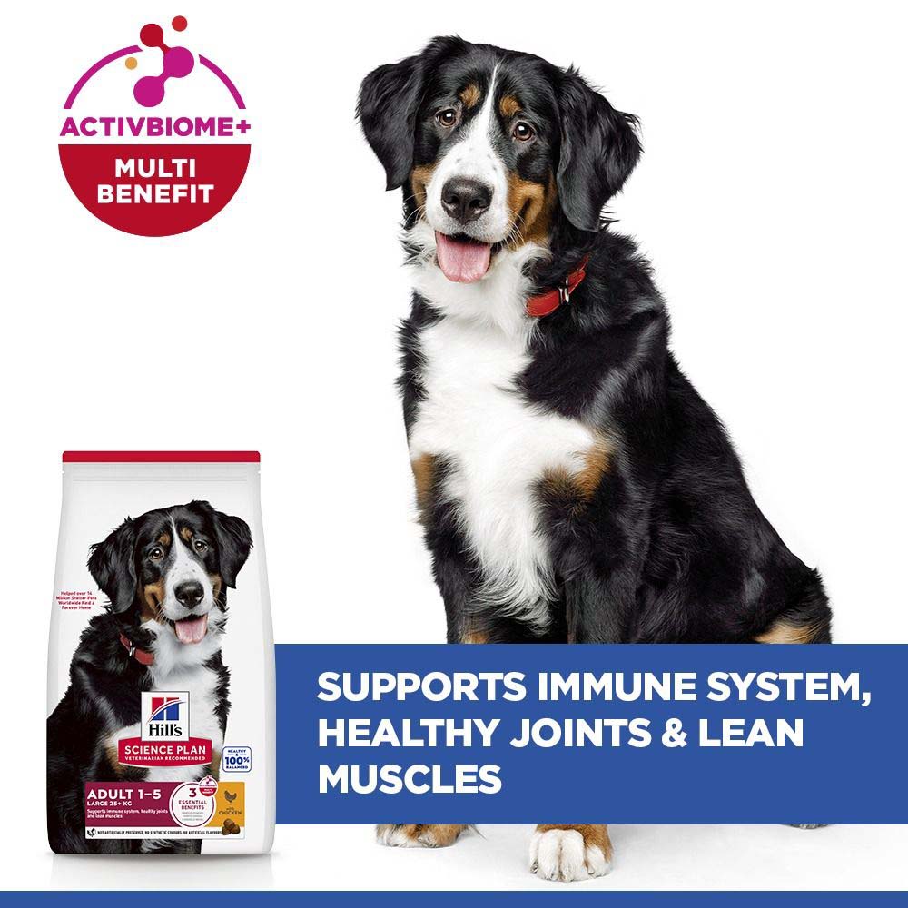 Hills Science Plan Large Breed Adult Dry Dog Food - Chicken