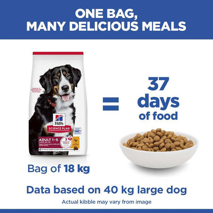 Hills Science Plan Large Breed Adult Dry Dog Food - Chicken