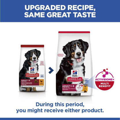 Hills Science Plan Large Breed Adult Dry Dog Food - Chicken