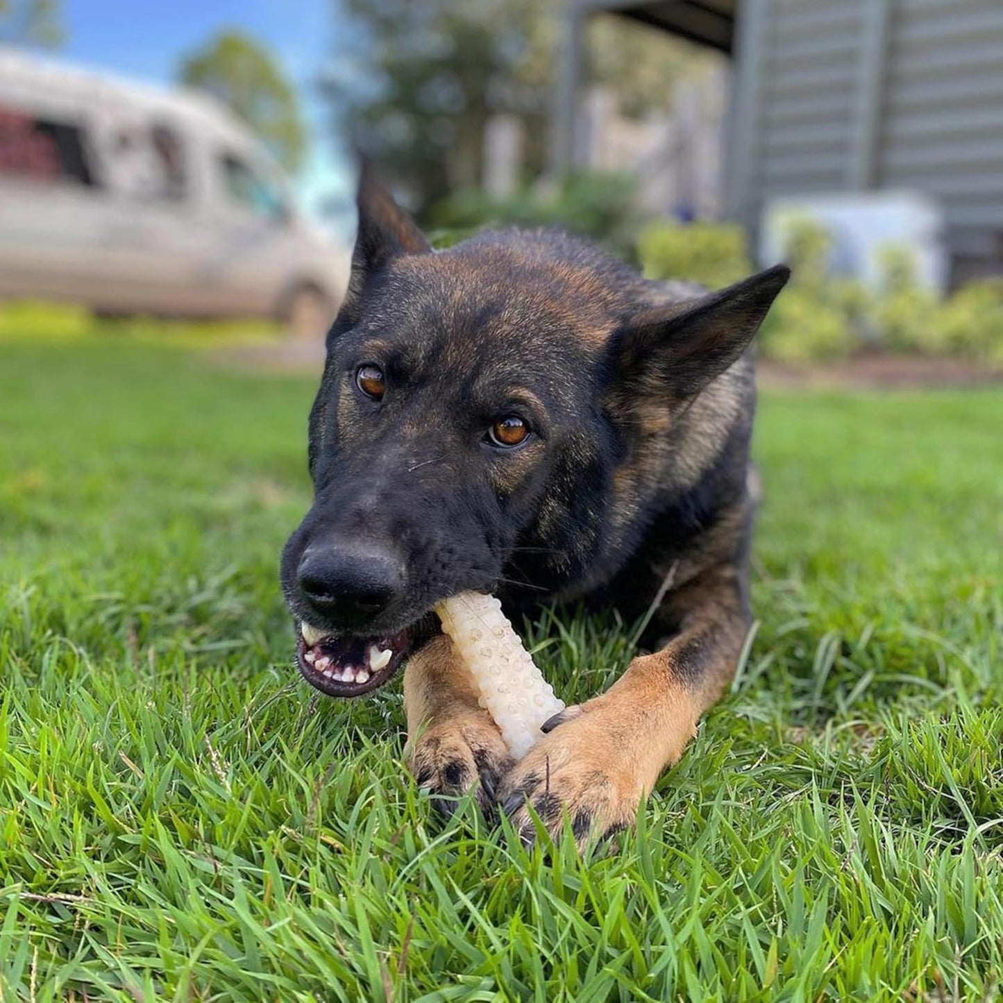 Nylabone Extreme Bone - XLarge - Original