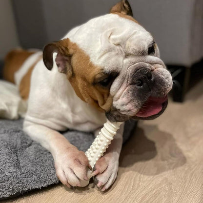 Nylabone Extreme Bone - XLarge - Original