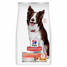 Hills Science Plan Perfect Digestion Medium Breed Adult Dry Dog Food - Chicken & Rice