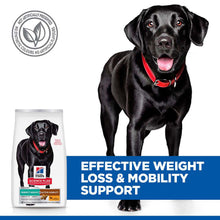 Hills Science Plan Perfect Weight Large Breed Dry Dog Food - Chicken