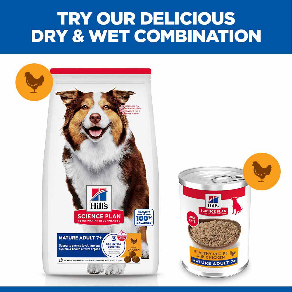 Hills Science Plan Mature Wet Dog Food - Chicken - 12x370g Cans