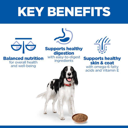 Hills Science Plan Adult Wet Dog Food - Beef - 12x370g Cans