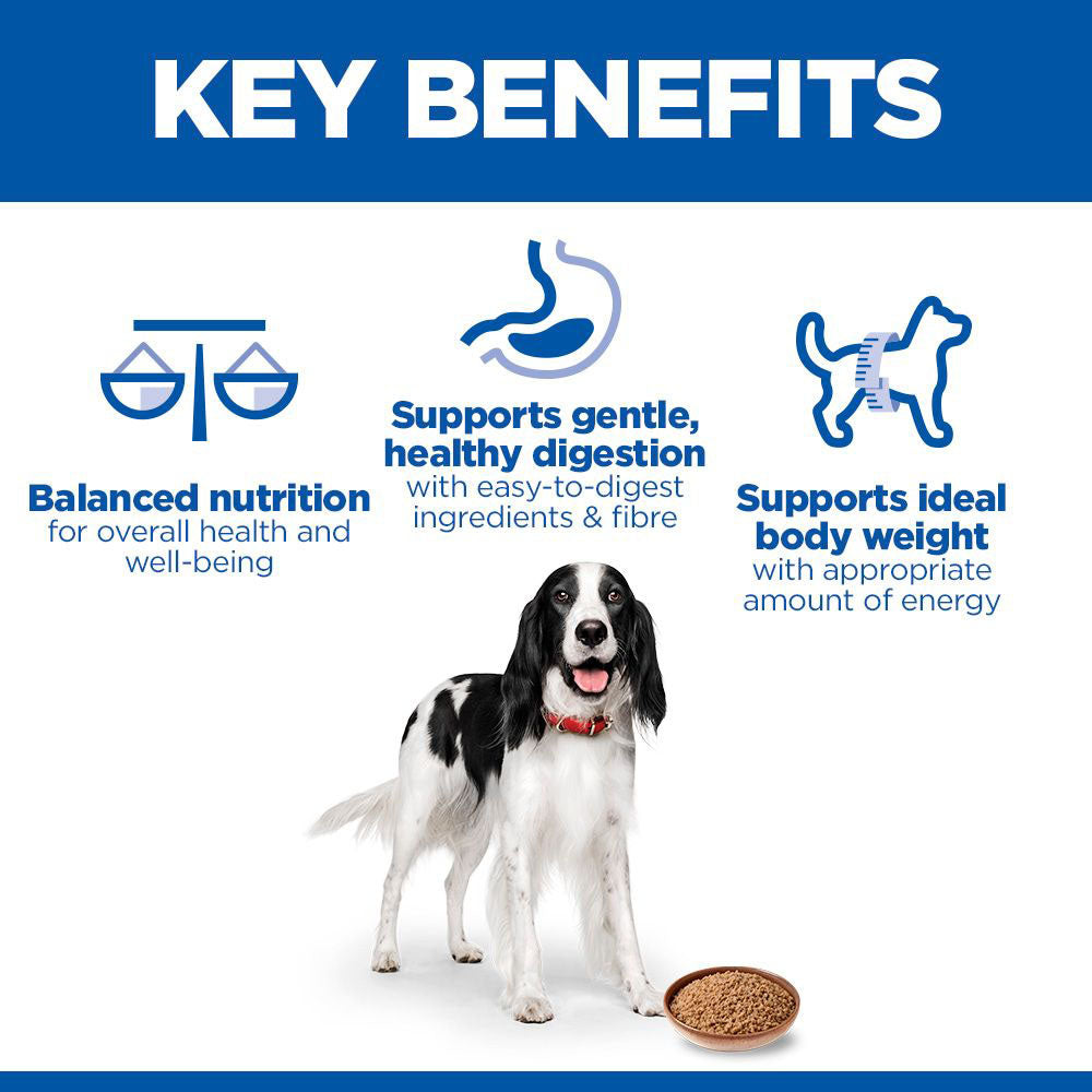 Hills Science Plan Adult Wet Dog Food - Turkey - 12x370g Cans