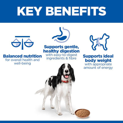 Hills Science Plan Adult Wet Dog Food - Turkey - 12x370g Cans