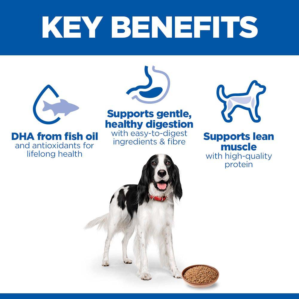 Hills Science Plan Adult Wet Dog Food - Chicken - 12x370g Cans