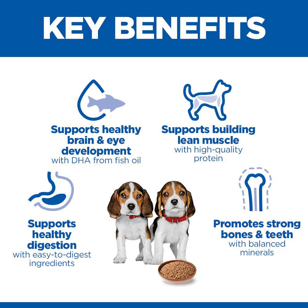 Hills Science Plan Puppy Wet Dog Food - Chicken - 12x370g Cans