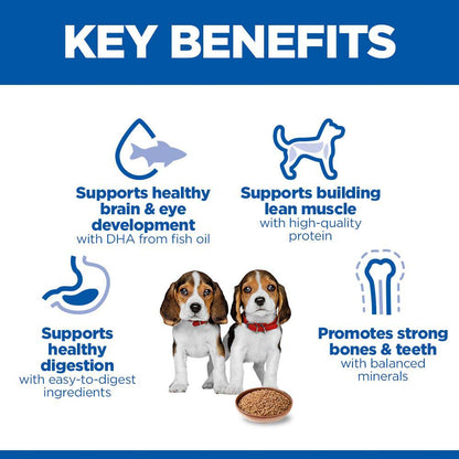 Hills Science Plan Puppy Wet Dog Food - Chicken - 12x370g Cans