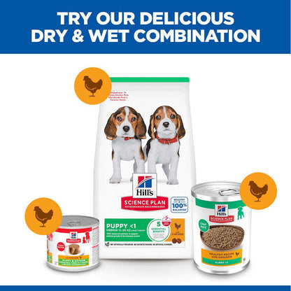 Hills Science Plan Puppy Wet Dog Food - Chicken - 12x370g Cans