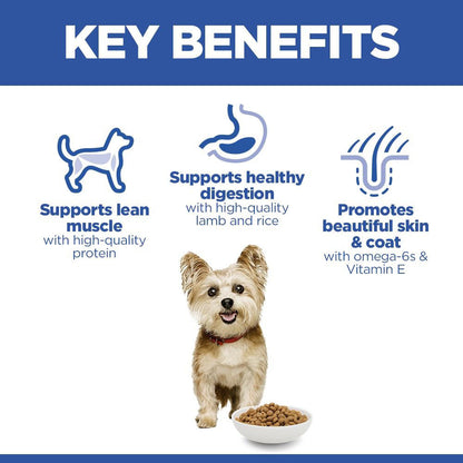 Hills Science Plan Small / Mini Breed Dry Dog Food - Lamb & Rice