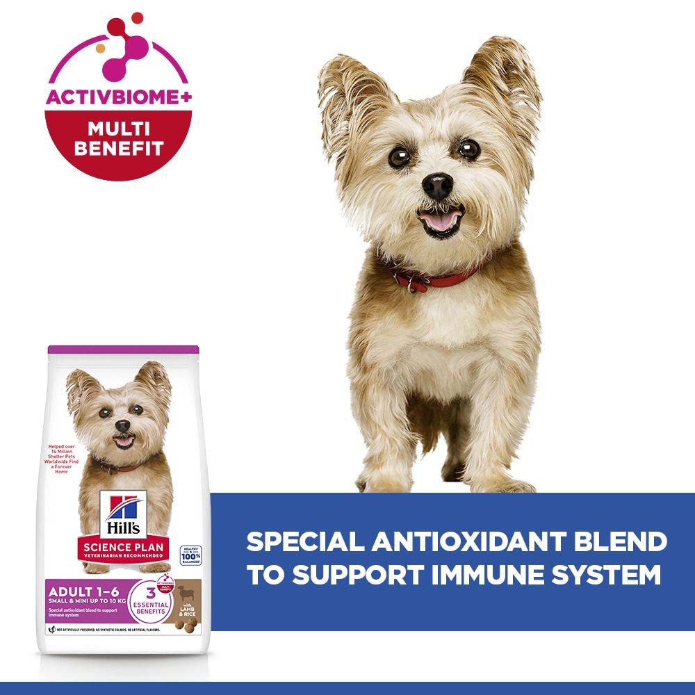 Hills Science Plan Small / Mini Breed Dry Dog Food - Lamb & Rice