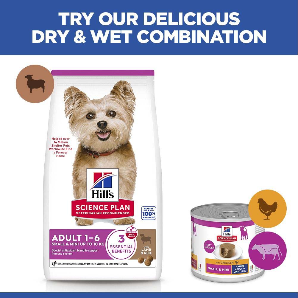 Hills Science Plan Small / Mini Breed Dry Dog Food - Lamb & Rice