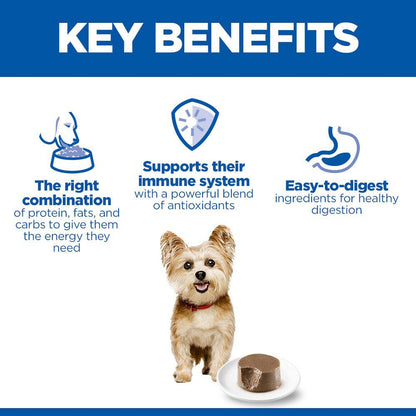 Hills Science Plan Adult Small & Mini Wet Dog Food - Chicken - 12x200g Cans